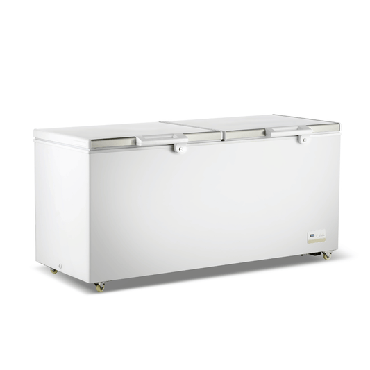 Thermaster 600L Chest Freezer with Stainless Steel Lid - BD600F - JDS Hospitality Equipment