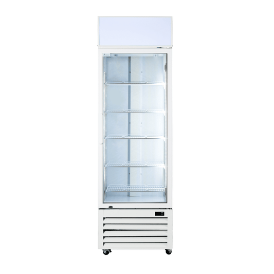 Thermaster Single Glass Door Colourbond Upright Drink Fridge LG-370P - JDS Hospitality Equipment 
