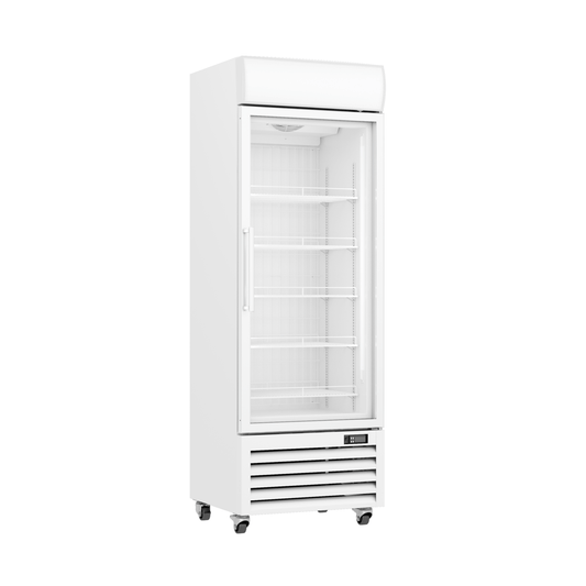 Thermaster 400L Upright Single Glass Door Freezer LG-400PF - JDS Hospitality Equipment 